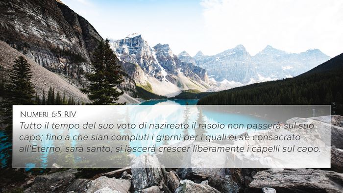 Numeri 6:5 RIV Bible Verse Image