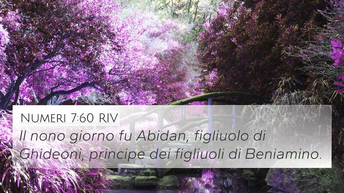 Numeri 7:60 RIV 4K Wallpaper - Il nono giorno fu Abidan, figliuolo di Ghideoni, - 4K Wallpaper Bible Verse