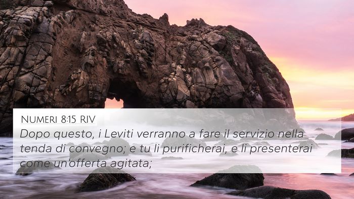 Numeri 8:15 RIV Bible Verse Image
