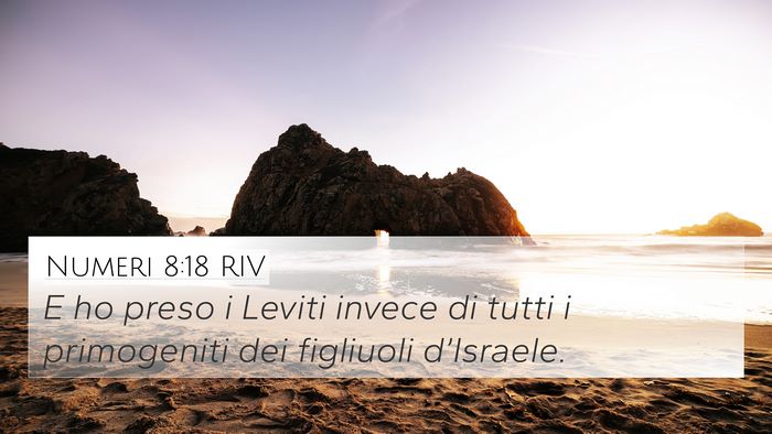 Numeri 8:18 RIV Bible Verse Image