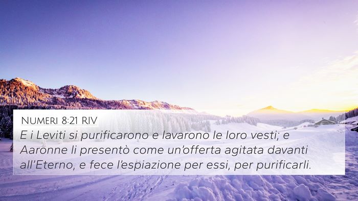 Numeri 8:21 RIV Bible Verse Image