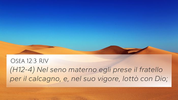 Osea 12:3 RIV Bible Verse Image