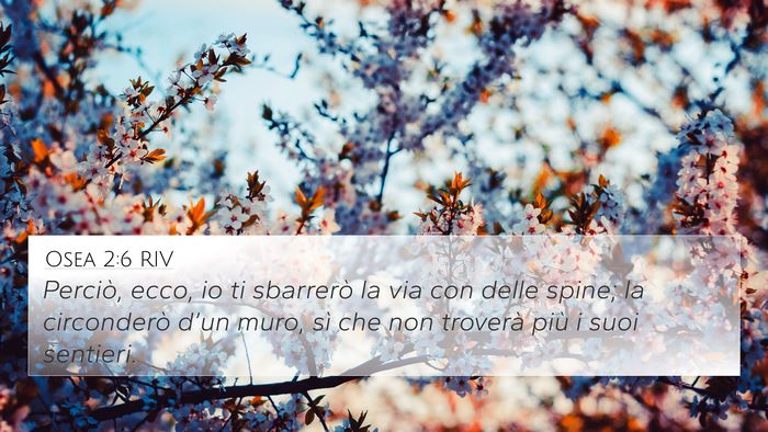 Osea 2:6 RIV Bible Verse Image