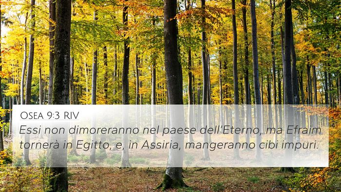 Osea 9:3 RIV Bible Verse Image