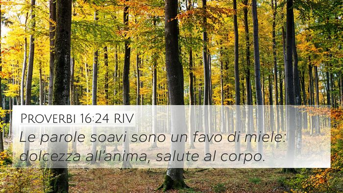 Proverbi 16:24 RIV Bible Verse Image
