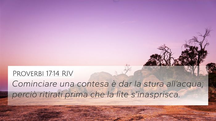Proverbi 17:14 RIV Bible Verse Image