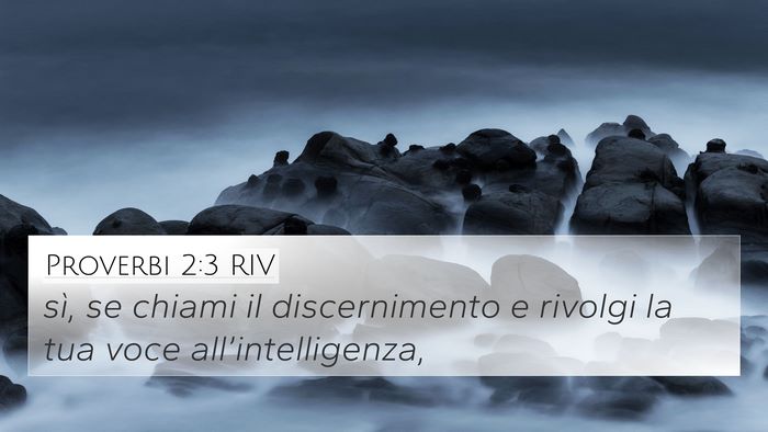 Proverbi 2:3 RIV Bible Verse Image