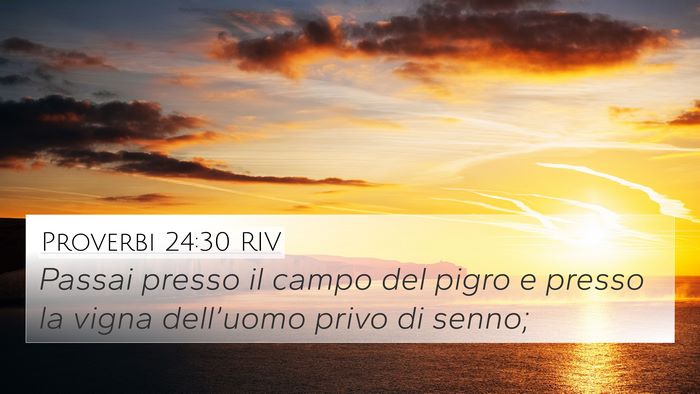 Proverbi 24:30 RIV Bible Verse Image