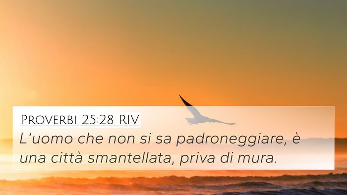 Proverbi 25:28 RIV Bible Verse Image