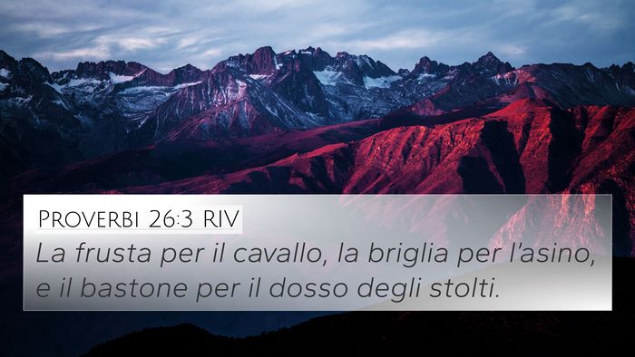 Proverbi 26:3 RIV Bible Verse Image