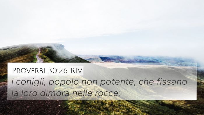 Proverbi 30:26 RIV Bible Verse Image