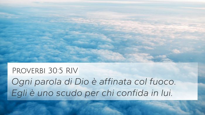 Proverbi 30:5 RIV Bible Verse Image