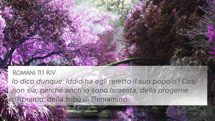 Romani 11:1 RIV Bible Verse Image