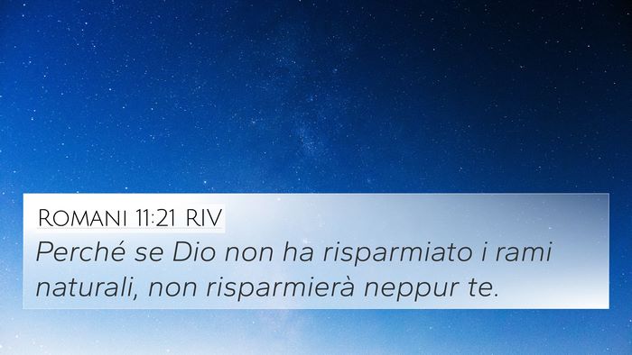 Romani 11:21 RIV 4K Wallpaper - Perché se Dio non ha risparmiato i rami - 4K Wallpaper Bible Verse