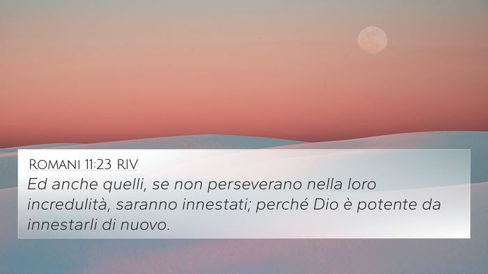 Romani 11:23 RIV Bible Verse Image