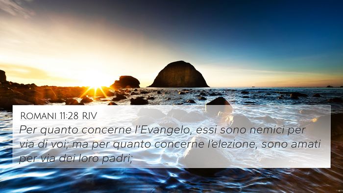 Romani 11:28 RIV Bible Verse Image