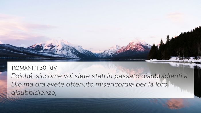 Romani 11:30 RIV Bible Verse Image