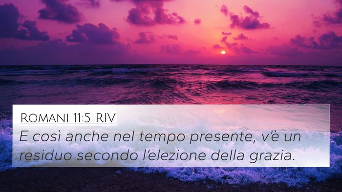 Romani 11:5 RIV Bible Verse Image