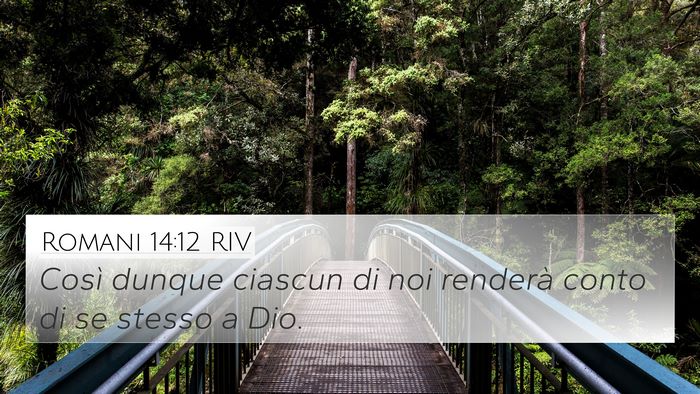 Romani 14:12 RIV Bible Verse Image