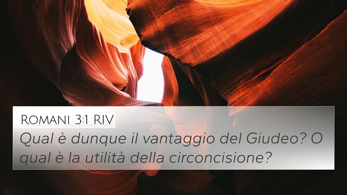 Romani 3:1 RIV Bible Verse Image