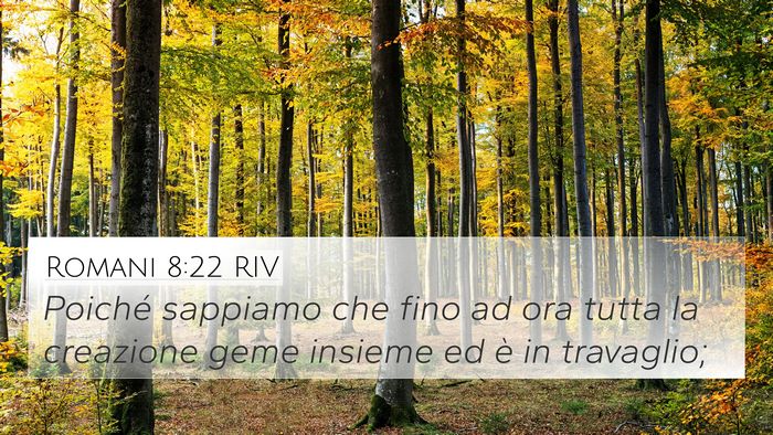 Romani 8:22 RIV Bible Verse Image