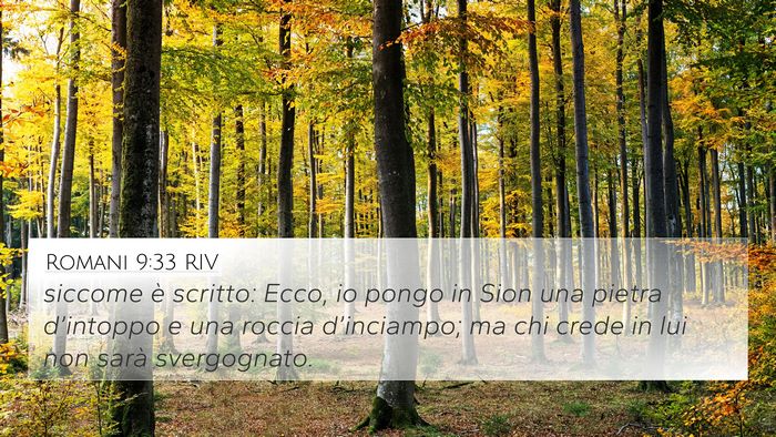 Romani 9:33 RIV Bible Verse Image
