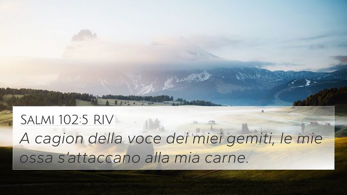 Salmi 102:5 RIV Bible Verse Image
