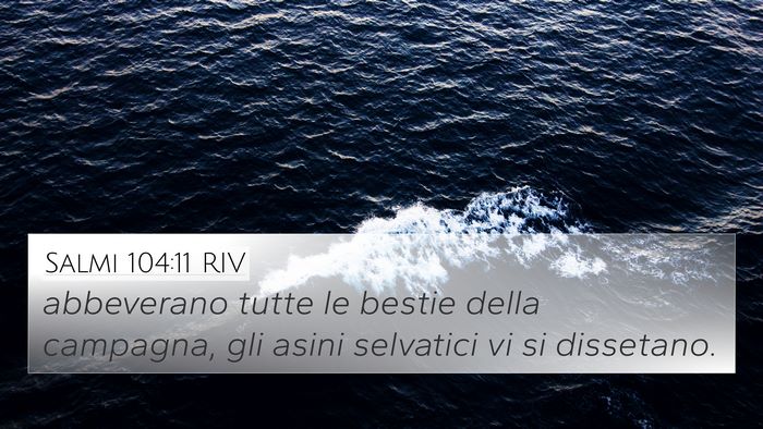 Salmi 104:11 RIV Bible Verse Image