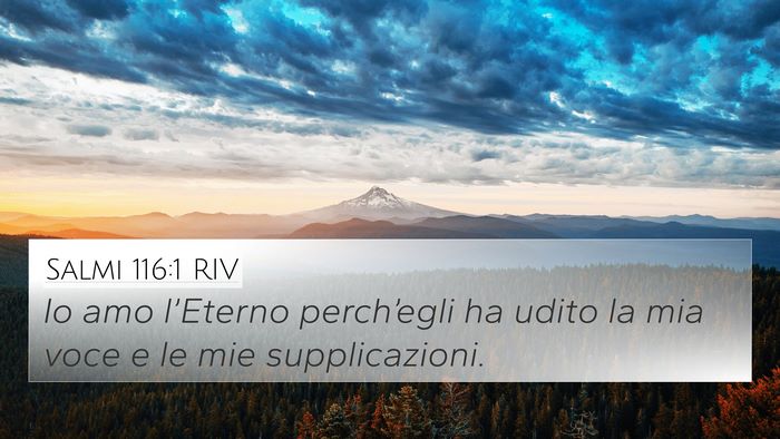 Salmi 116:1 RIV 4K Wallpaper - Io amo l’Eterno perch’egli ha udito la mia - 4K Wallpaper Bible Verse