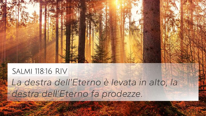 Salmi 118:16 RIV Bible Verse Image