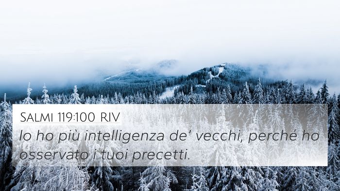 Salmi 119:100 RIV Bible Verse Image
