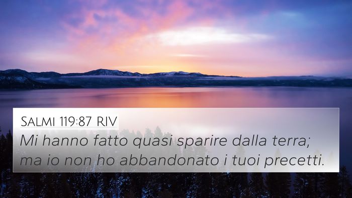 Salmi 119:87 RIV 4K Wallpaper - Mi hanno fatto quasi sparire dalla terra; ma io - 4K Wallpaper Bible Verse