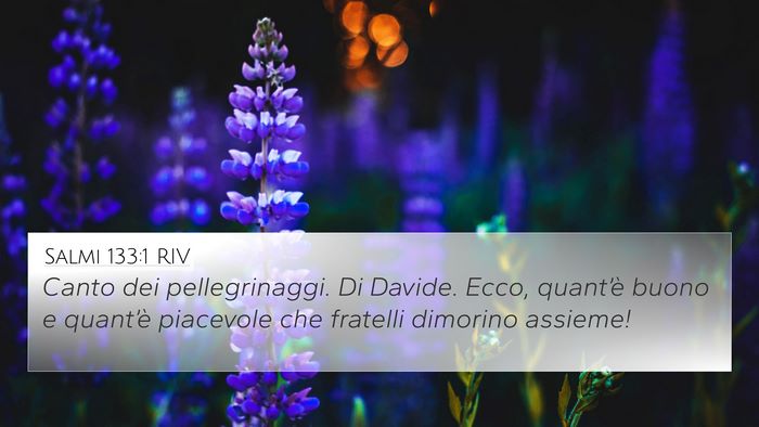 Salmi 133:1 RIV 4K Wallpaper - Canto dei pellegrinaggi. Di Davide. Ecco, - 4K Wallpaper Bible Verse