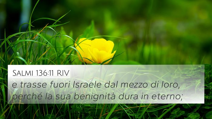 Salmi 136:11 RIV 4K Wallpaper - e trasse fuori Israele dal mezzo di loro, perché - 4K Wallpaper Bible Verse