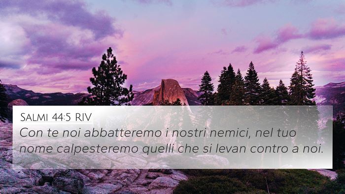 Salmi 44:5 RIV Bible Verse Image