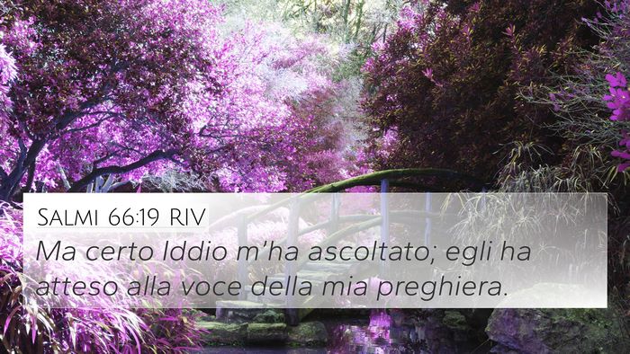 Salmi 66:19 RIV Bible Verse Image
