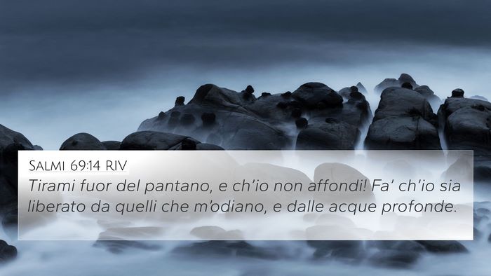 Salmi 69:14 RIV Bible Verse Image