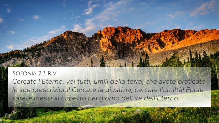 Sofonia 2:3 RIV Bible Verse Image