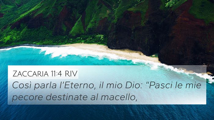 Zaccaria 11:4 RIV Bible Verse Image