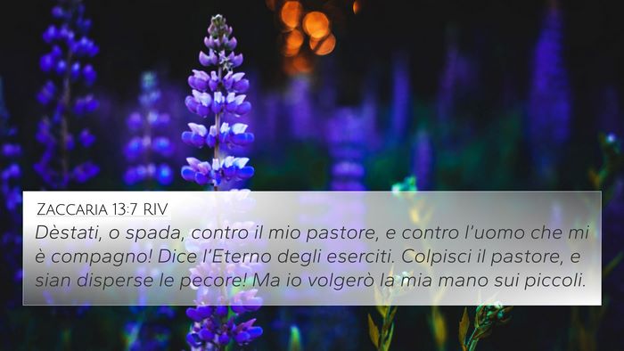 Zaccaria 13:7 RIV Bible Verse Image