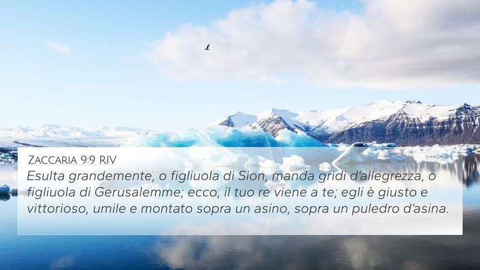 Zaccaria 9:9 RIV Bible Verse Image