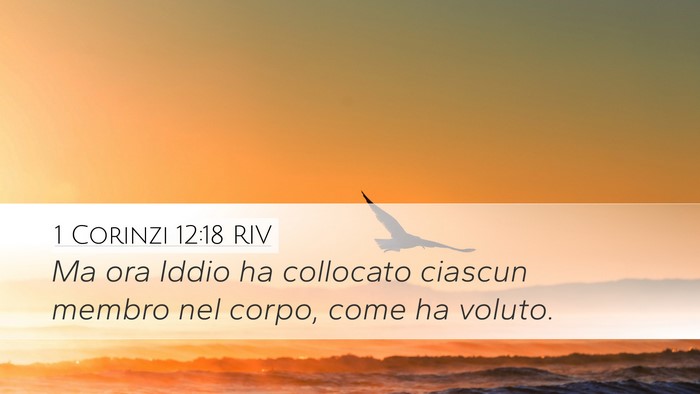1 Corinzi 12:18 RIV Bible Verse Image