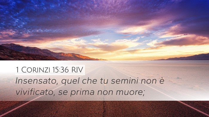 1 Corinzi 15:36 RIV Bible Verse Image