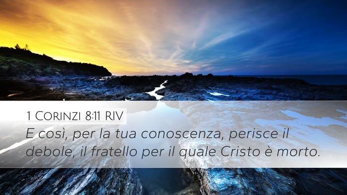 1 Corinzi 8:11 RIV Bible Verse Image