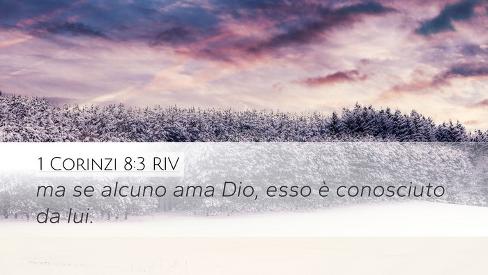 1 Corinzi 8:3 RIV Bible Verse Image