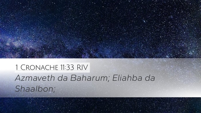 1 Cronache 11:33 RIV Bible Verse Image