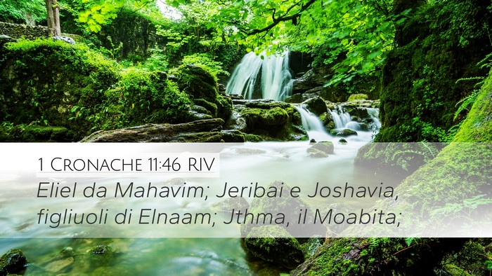 1 Cronache 11:46 RIV Desktop Wallpaper - Eliel da Mahavim; Jeribai e Joshavia, figliuoli - Desktop Bible Verse Wallpaper