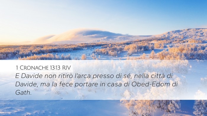 1 Cronache 13:13 RIV Bible Verse Image