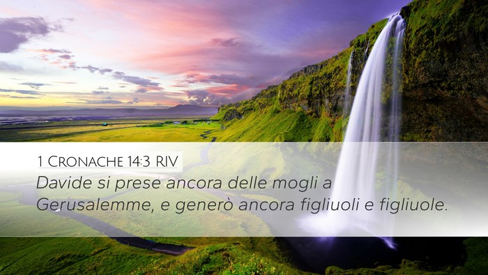 1 Cronache 14:3 RIV Desktop Wallpaper - Davide si prese ancora delle mogli a Gerusalemme, - Desktop Bible Verse Wallpaper