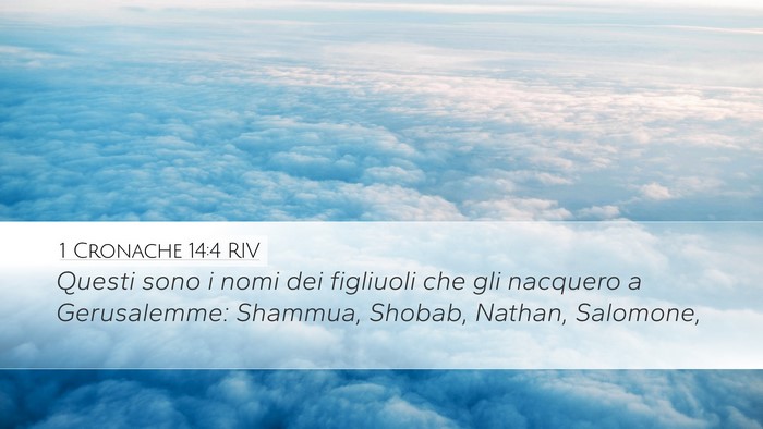 1 Cronache 14:4 RIV Bible Verse Image